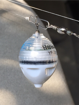 昨日に引き続き今夜もタチフロート。