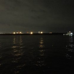 潮が動かない、、、