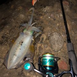 半月を眺めながら今夜も