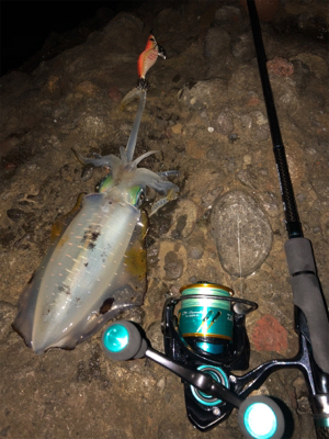 半月を眺めながら今夜も