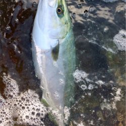 LSJigginger0600〜0850