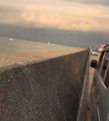 久しぶりに釣れた