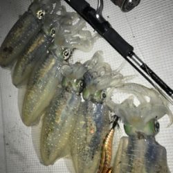 (釣行 其の弐拾九)