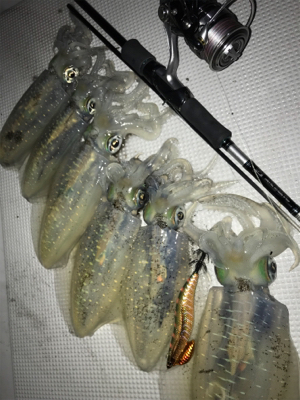 (釣行 其の弐拾九)