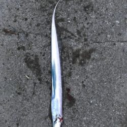 今日も行って来ました！