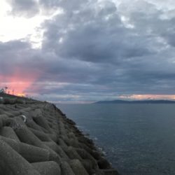 メタルバイブでオコゼ