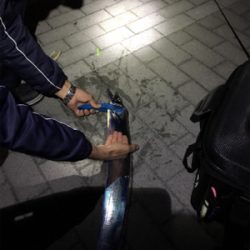 風と寒さに耐え