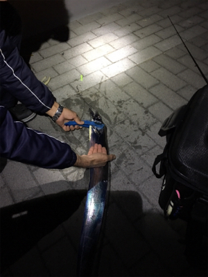 風と寒さに耐え