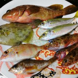 風が強くて内港にて