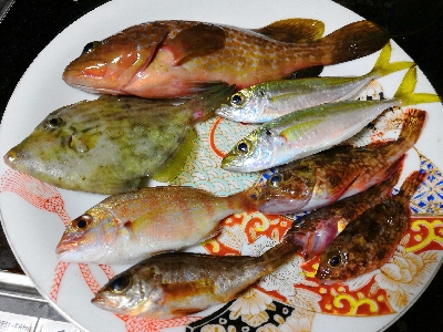 風が強くて内港にて