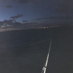 まだ、釣れてますよ！