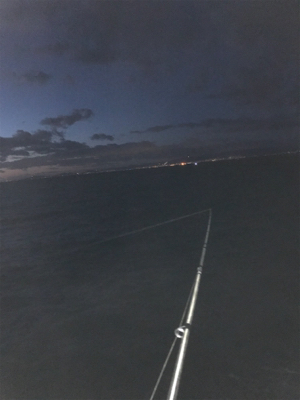 まだ、釣れてますよ！