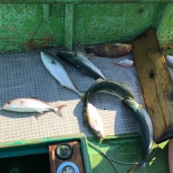 落とし込み釣り