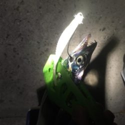 渋かった 寒かった（苦笑）