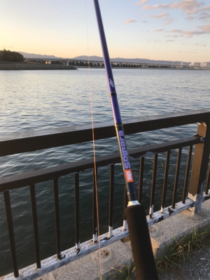 タチウオリベンジ