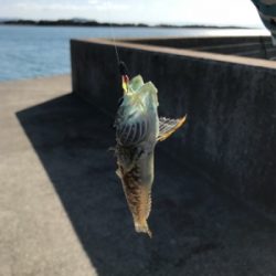 またまた5種目達成！