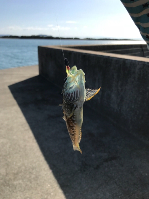 またまた5種目達成！