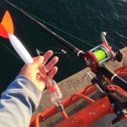 平磯で紅葉狩り