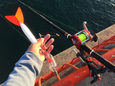 平磯で紅葉狩り