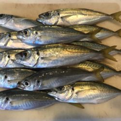 モーニングアジング