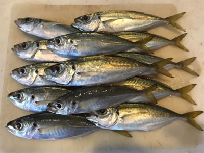 モーニングアジング