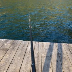 ヤエンのアジが釣れない…