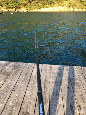 ヤエンのアジが釣れない…