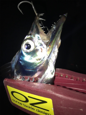 ラインブレイク時合い短い。