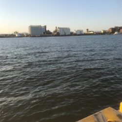 ぼっち釣行 5時間