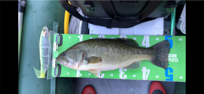 どストライク！！