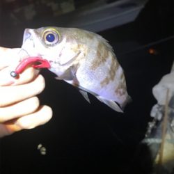 最近ずっとバラしまくり