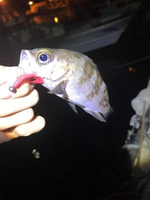 最近ずっとバラしまくり