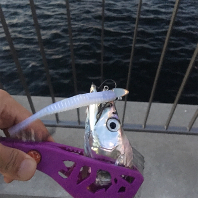 大阪湾奥ワインド 秋本番!鶴浜緑地で高活性