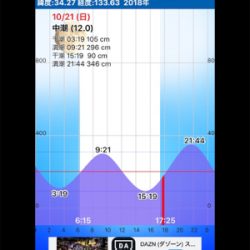 ちょっとサイズアップの秋イカ