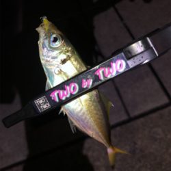 ワインド不発からアジング