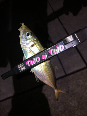 ワインド不発からアジング