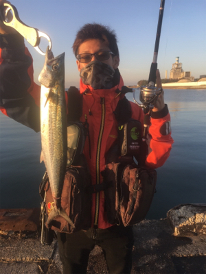 朝まずめ青物ゲーム