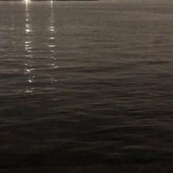 今日は今ふたつ(´༎ຶོρ༎ຶོ`)