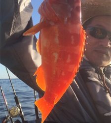 紀北タイラバ釣行