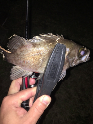 ラインブレーク