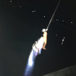 寒くなってきました‼︎