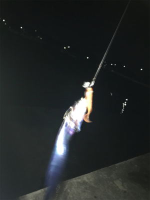 寒くなってきました‼︎