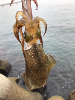 ランガンするも、、、