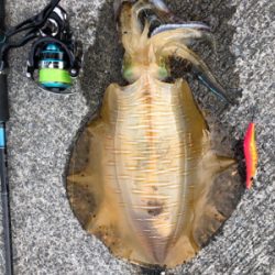 久々キロアップ