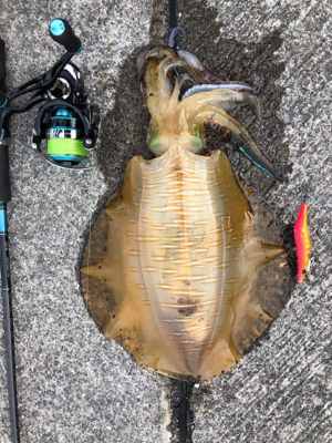 久々キロアップ