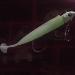 やや渋い中でのタチウオ！