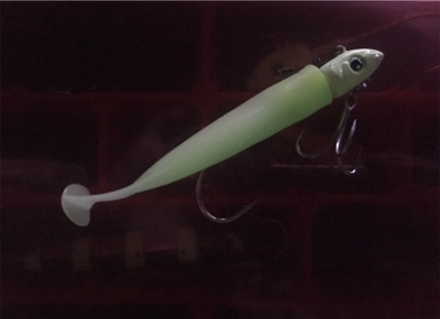 やや渋い中でのタチウオ！