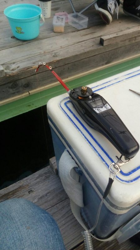 佐仲ダム　ワカサギ