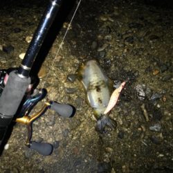 雨強く心折れました