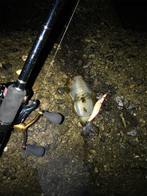 雨強く心折れました